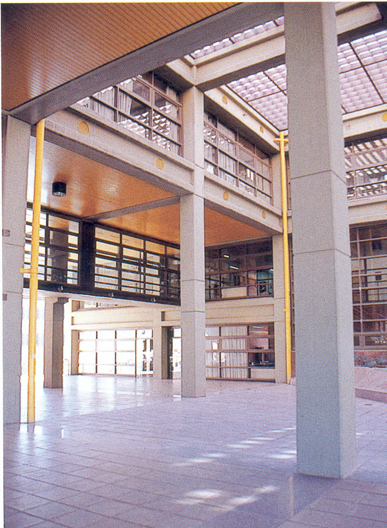 UNIVERSIDAD DE SAN LUIS